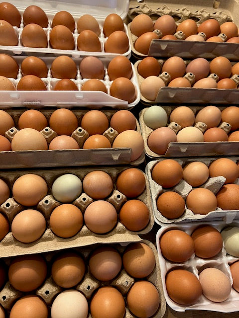 Pasture raised - free range Chicken Eggs