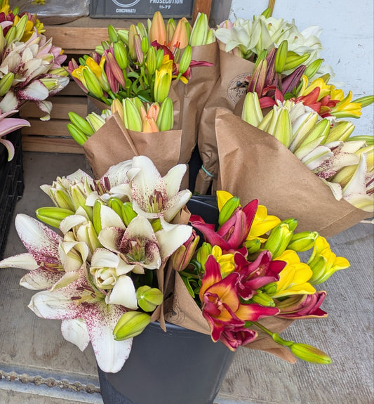 Flowers -Lilli’s 4-5 stems