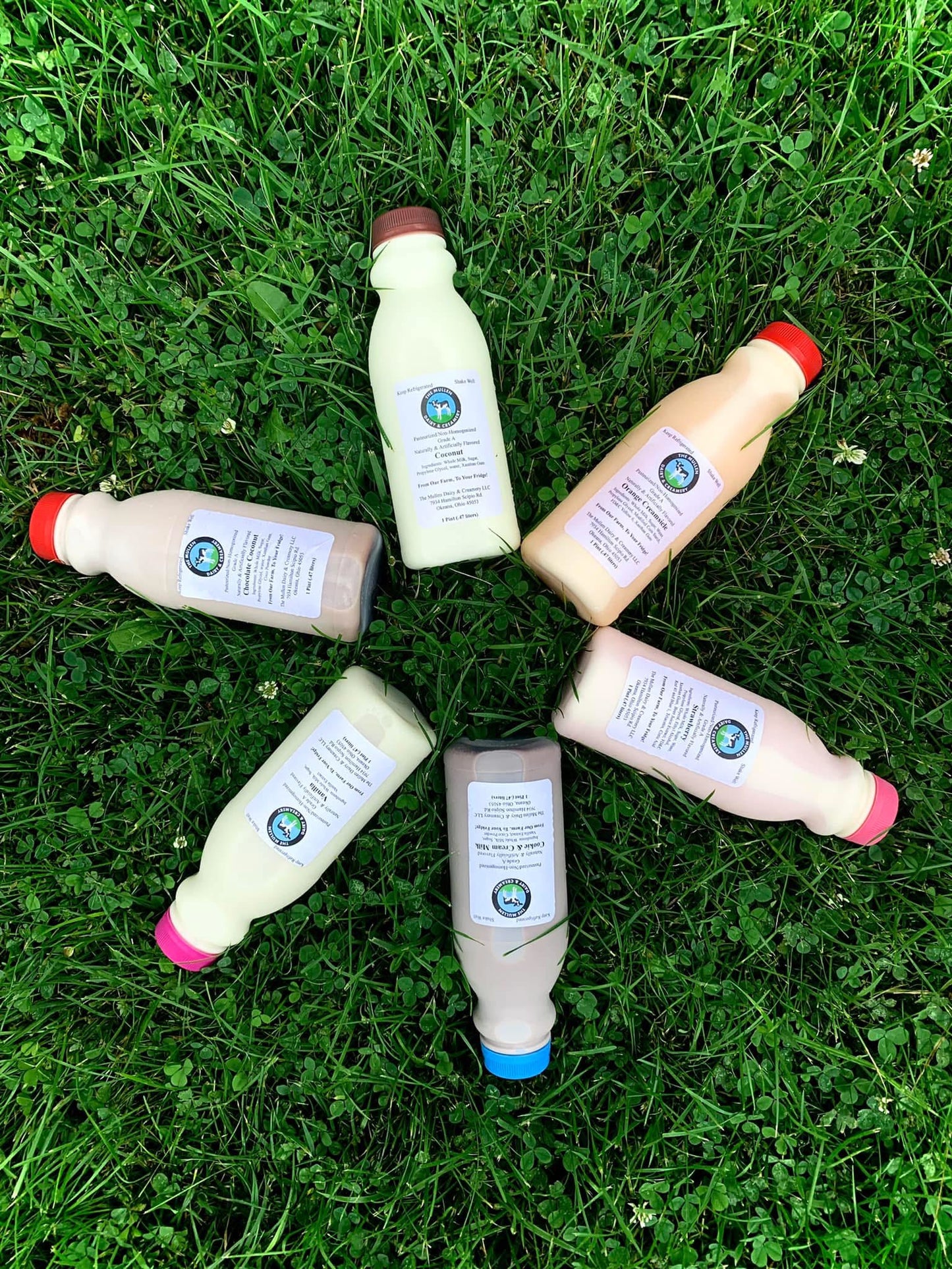 Pint of Whole Vanilla Milk