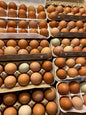 Pasture raised - free range Chicken Eggs